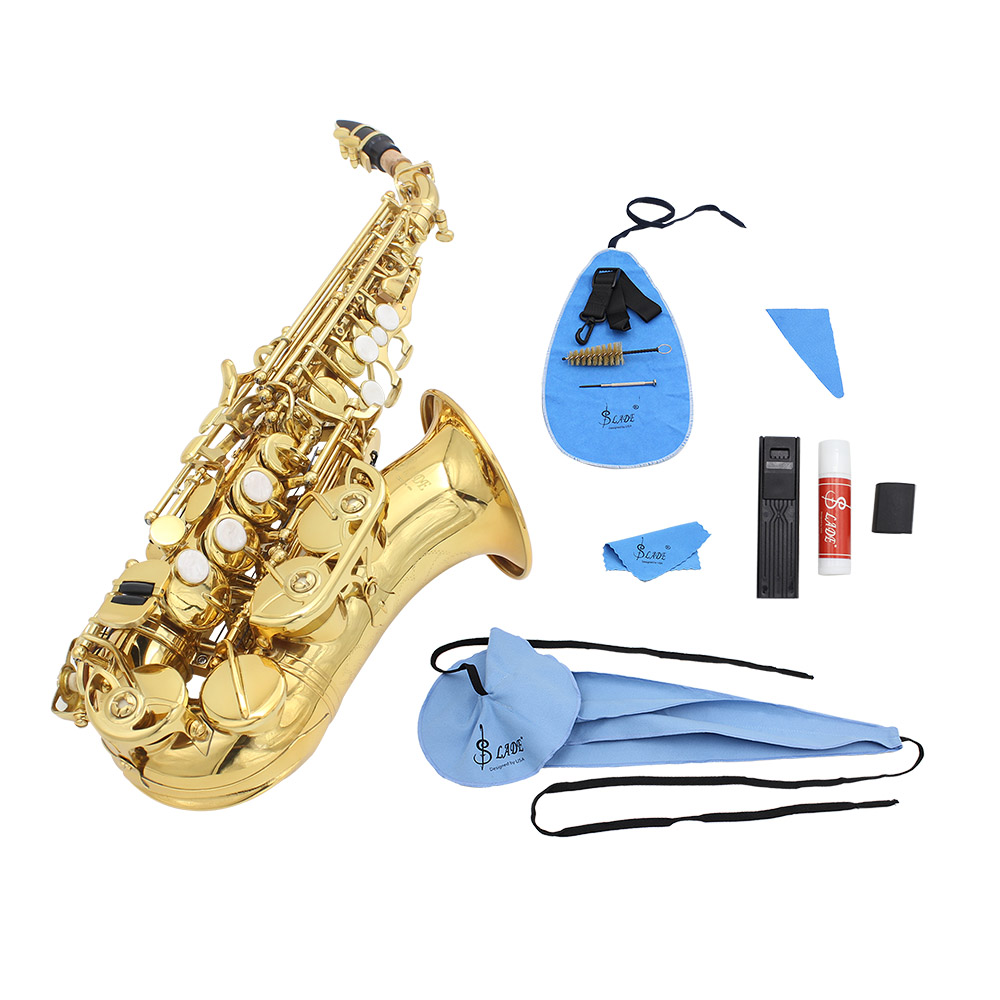 10Pcs/Set Saxophone Cleaning Kit Sax Clean Cloth Mouthpiece Brush Belt Set US eBay