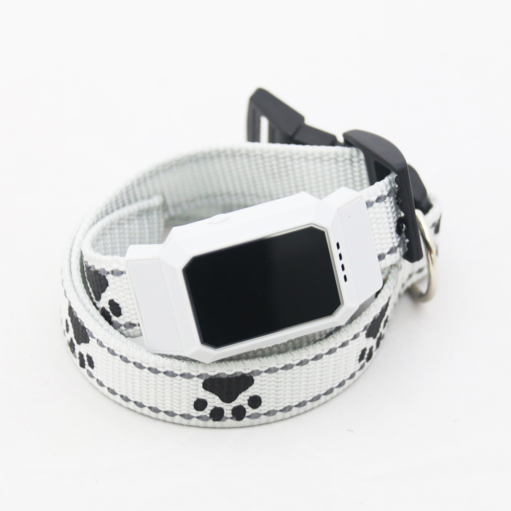 gps cat collar tag