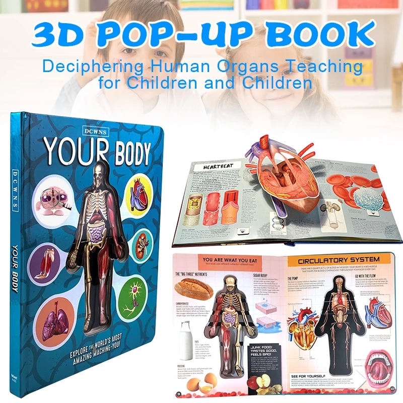 3D Anatomy of The Human Body in English Popular Science Book 3D Picture