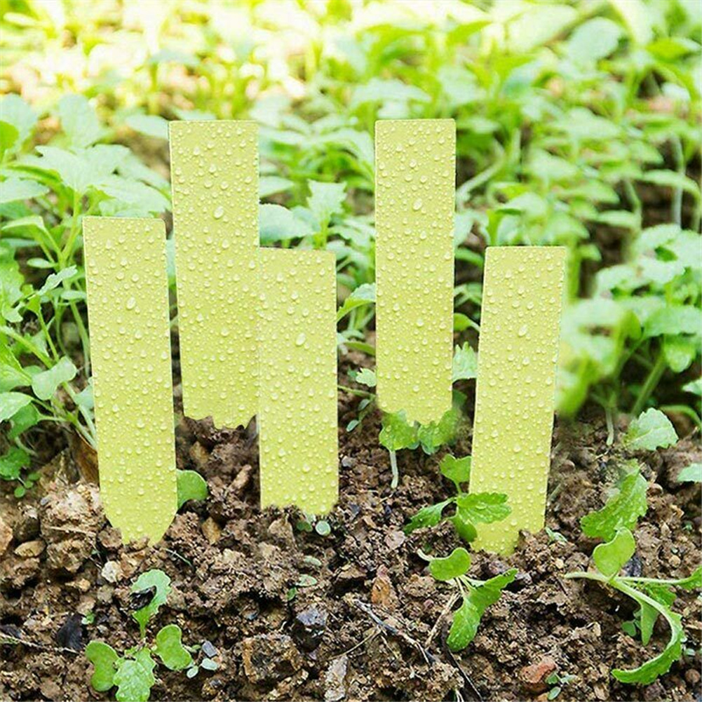 Description Picture 4 of item100pcs Plastic Plant Labels Nursery Garden Stake Tags Garden Labels Waterproof Plant Tags Plant Markers for Gardeners Greenhouse
