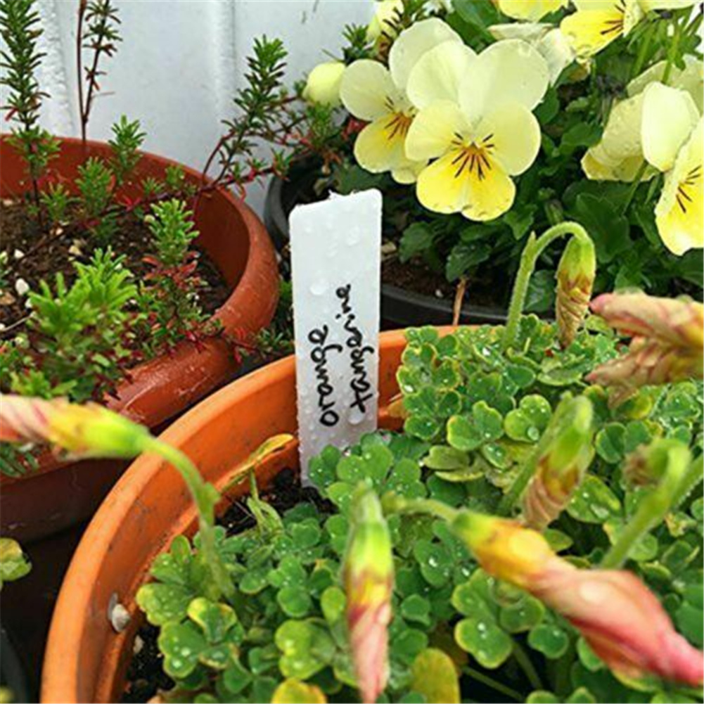 Description Picture 6 of item100pcs Plant Tag Garden Label Plastic Hanging Waterproof Tagging Nursery Pot Marker for Garden Accessories