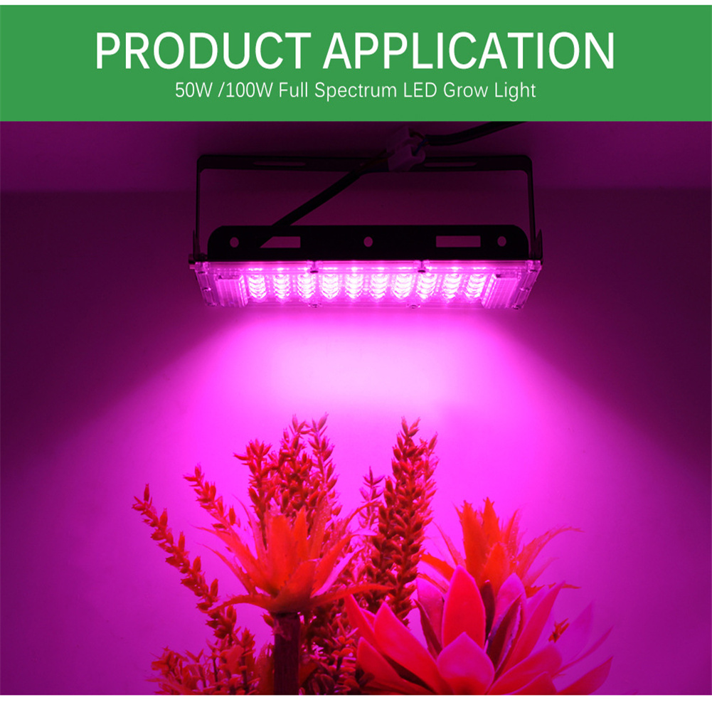 Led Full Spectrum Grow Light 220v 50w 100w Plant Growing Lamp For