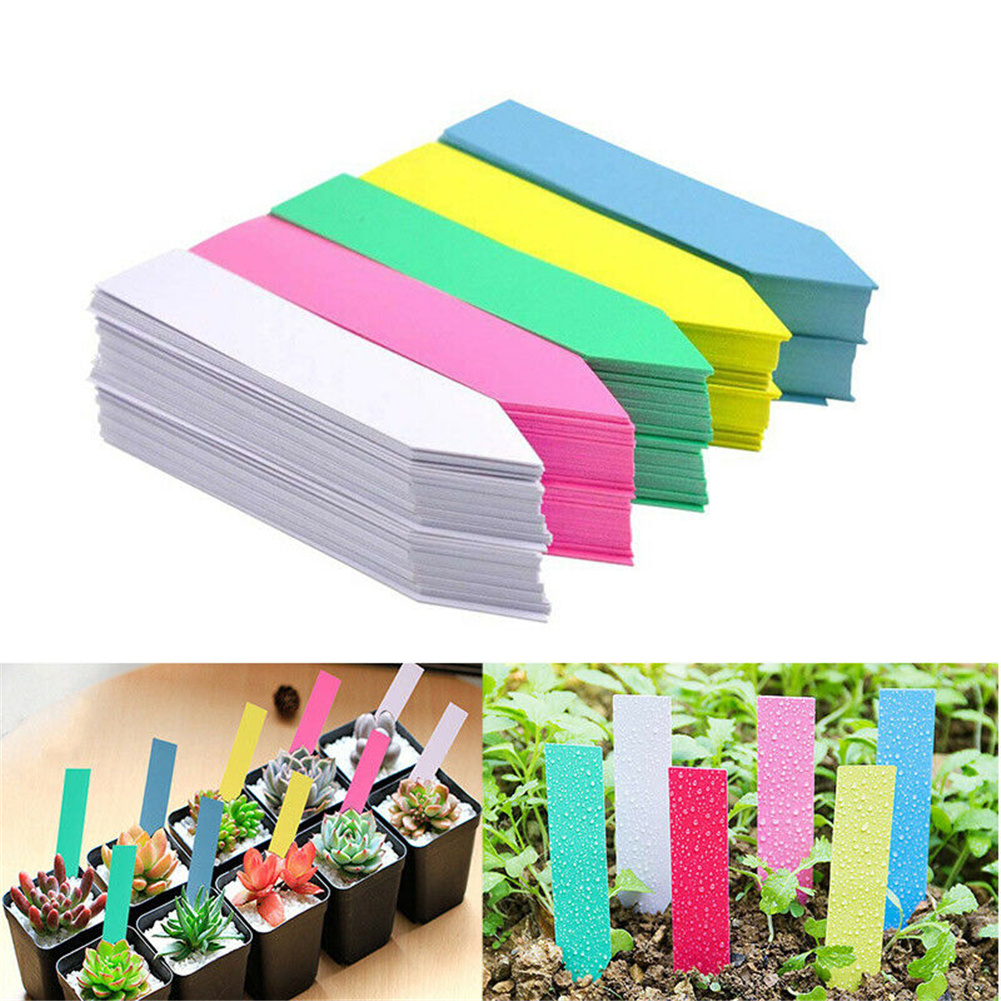 Description Picture 3 of item100pcs Plastic Plant Labels Nursery Garden Stake Tags Garden Labels Waterproof Plant Tags Plant Markers for Gardeners Greenhouse