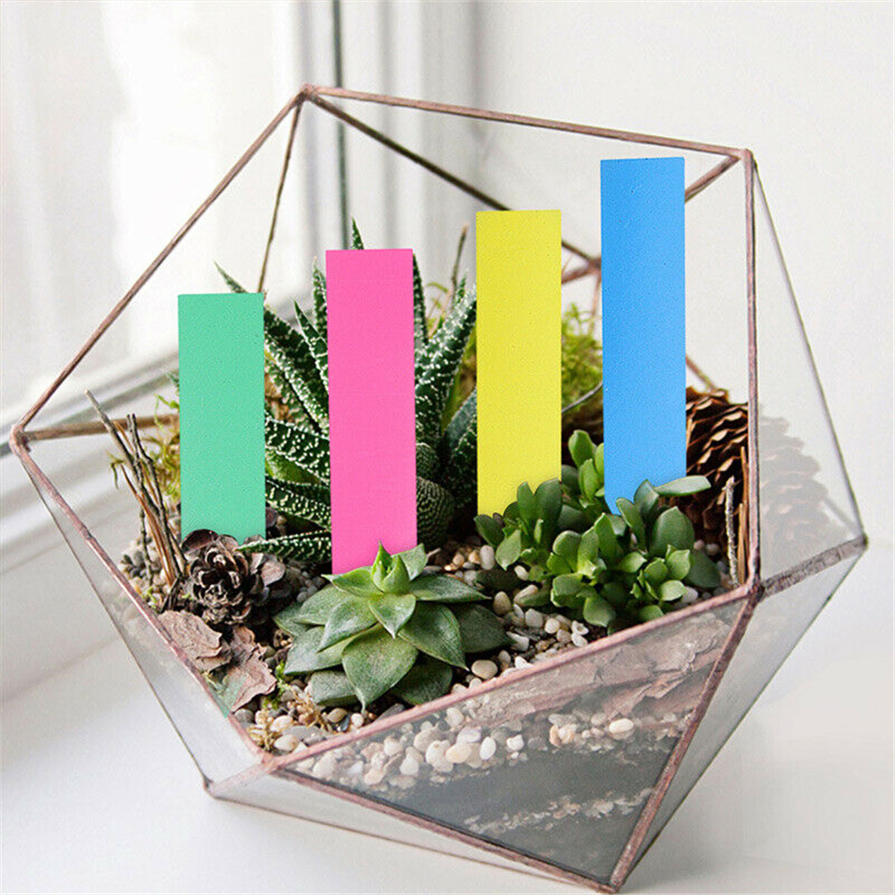 Description Picture 4 of item100pcs Plant Tag Garden Label Plastic Hanging Waterproof Tagging Nursery Pot Marker for Garden Accessories