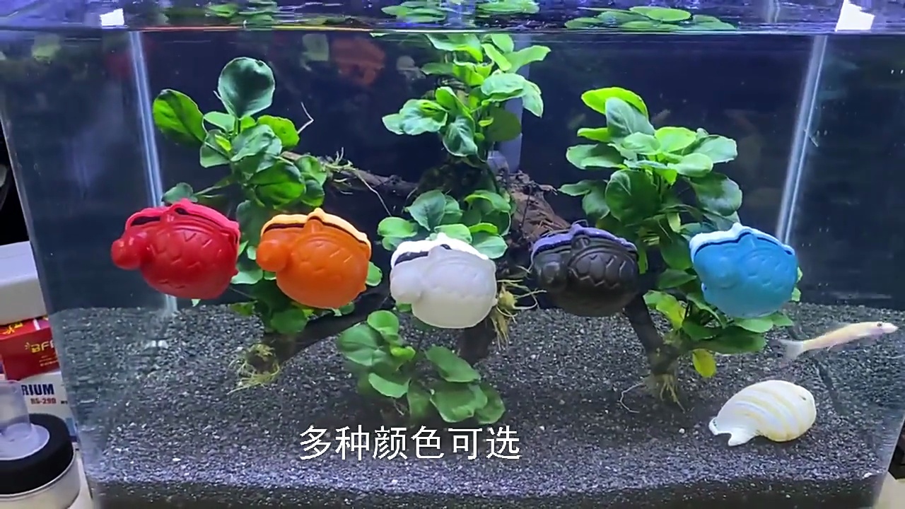 Phim hoạt hình mini từ bàn chải lau kính algaes scraper nước rửa kính bể cá cảnh phụ kiện