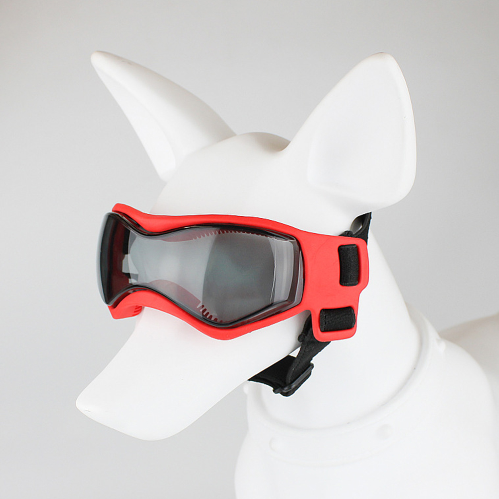 Title 4, Lunettes pour petits chiens, Protection UV, lun...