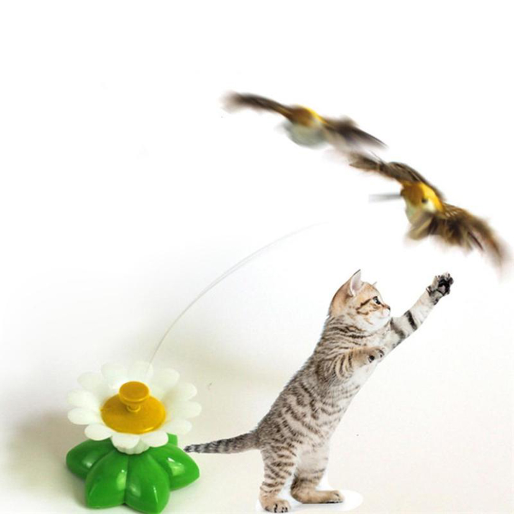 kitty play toys