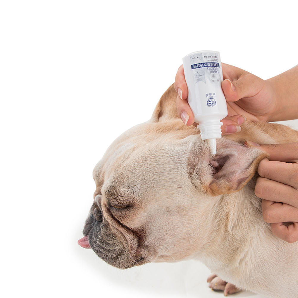 DOG CAT Ear Drops Infection Antibiotic Treatment Medicine Yeast Fungus