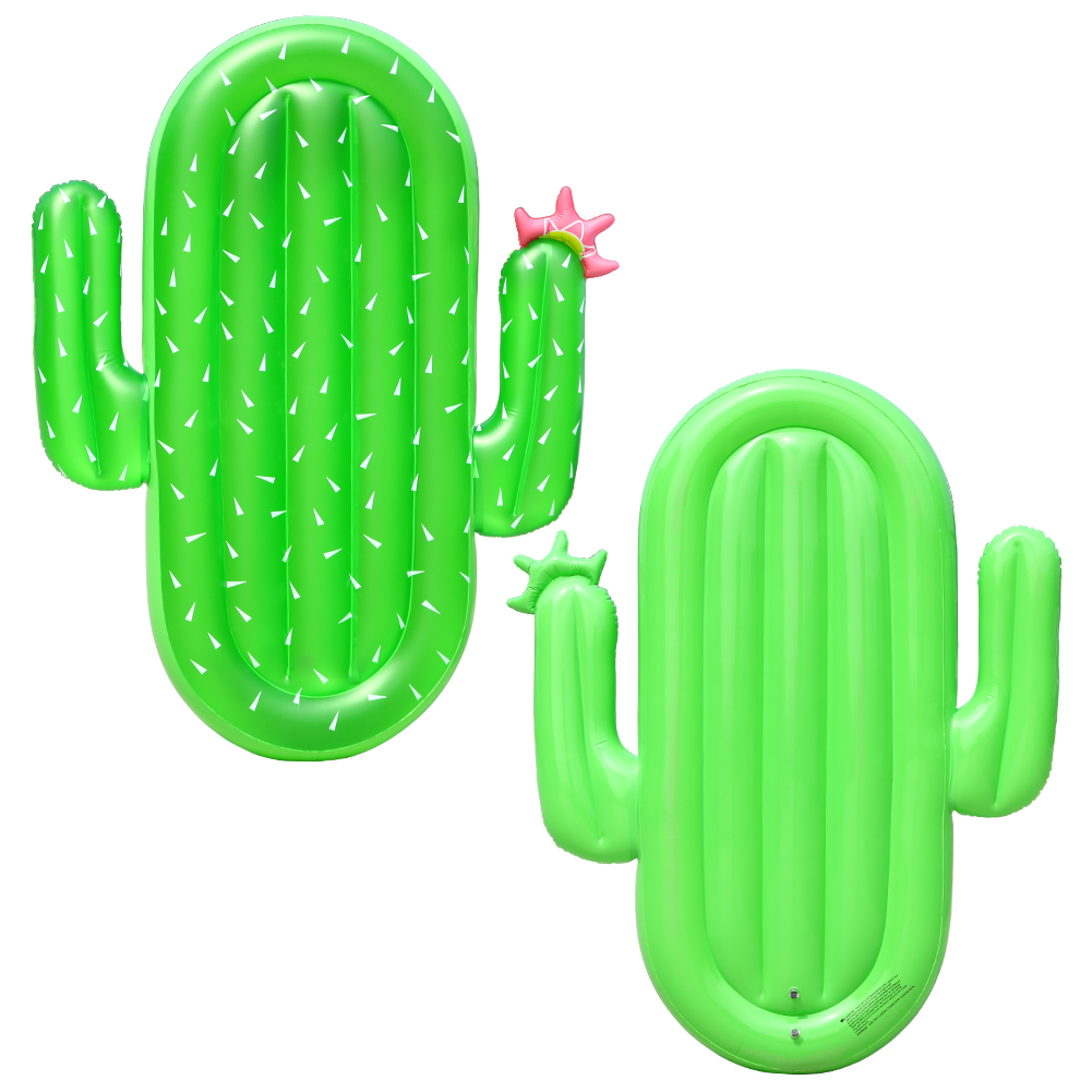 cactus pool float