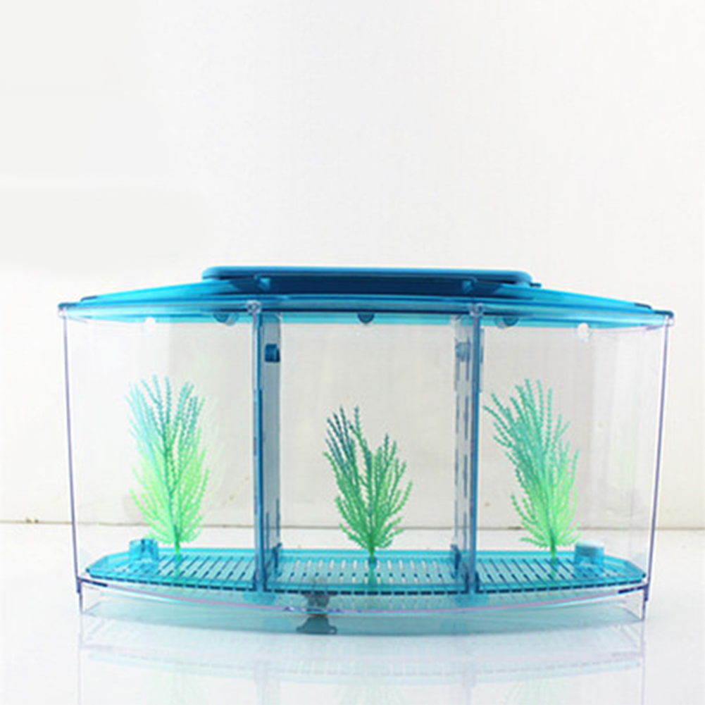 Buy Betta Aquarium Separate Spawning Box Fish Tank without Light on ...